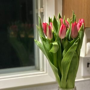 Meet your Posher, Hali